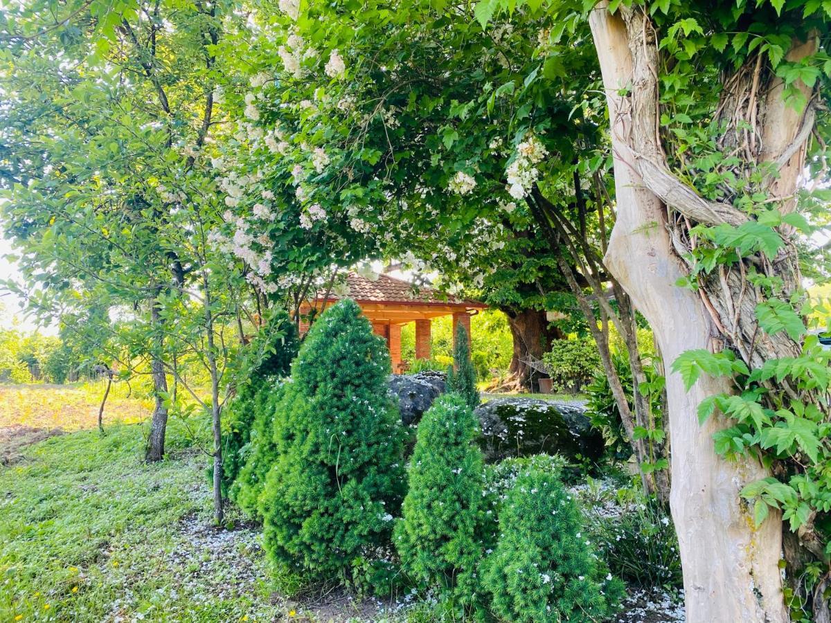 Guesthouse Kamelia مارتيفيلي المظهر الخارجي الصورة