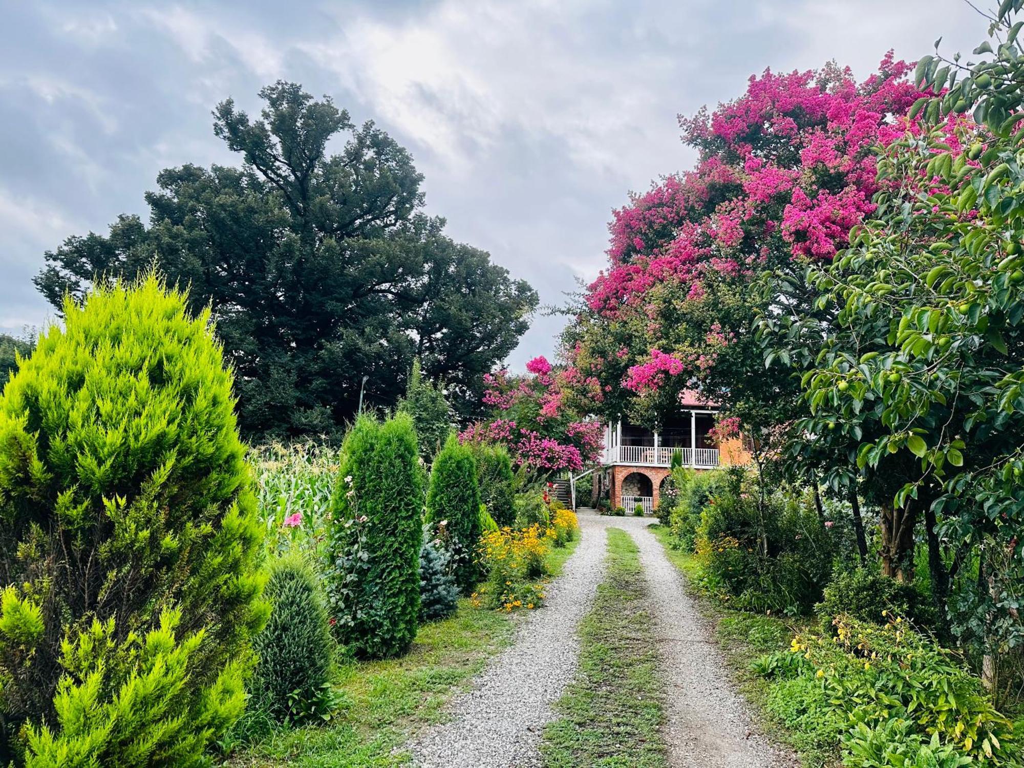 Guesthouse Kamelia مارتيفيلي المظهر الخارجي الصورة