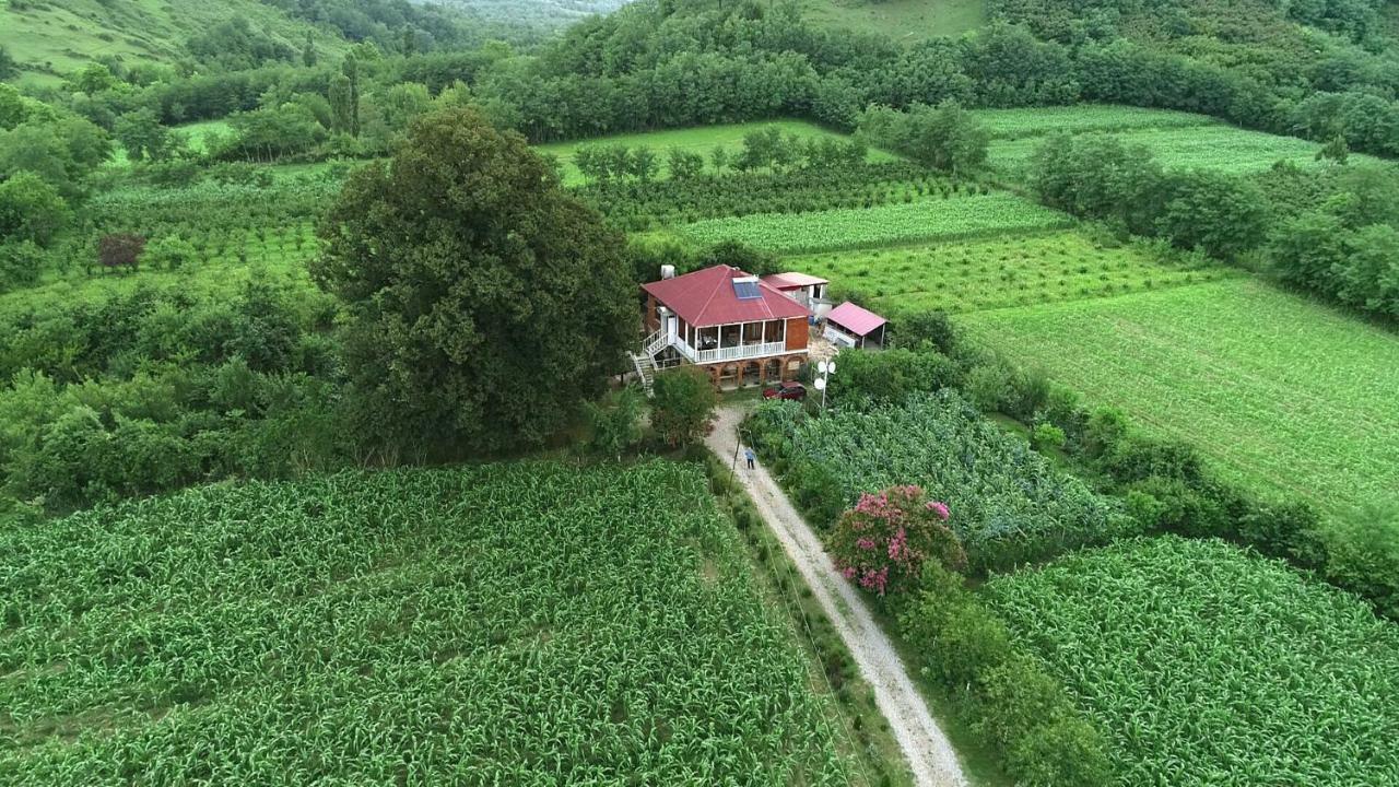 Guesthouse Kamelia مارتيفيلي المظهر الخارجي الصورة