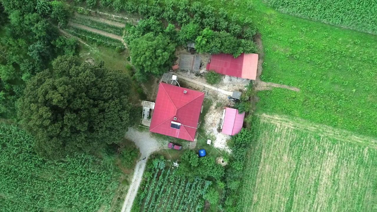 Guesthouse Kamelia مارتيفيلي المظهر الخارجي الصورة