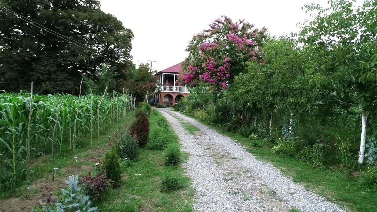 Guesthouse Kamelia مارتيفيلي المظهر الخارجي الصورة
