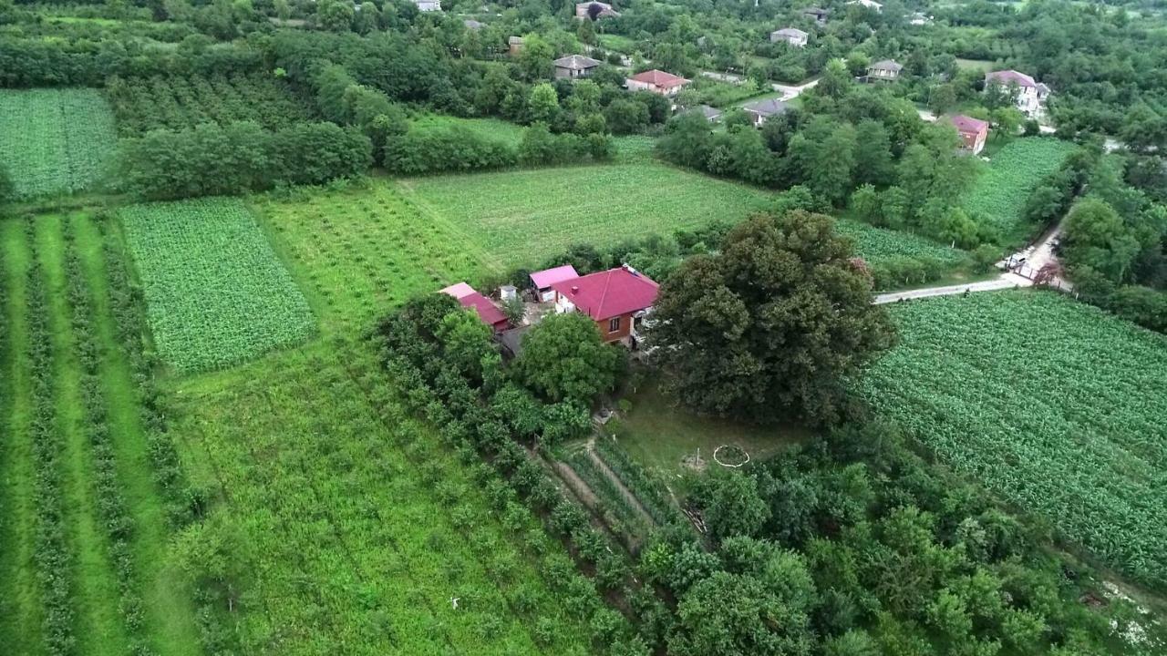 Guesthouse Kamelia مارتيفيلي المظهر الخارجي الصورة